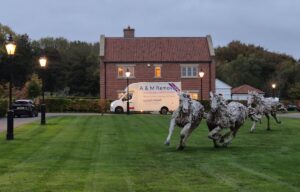 A&M Removals van outside a house with sculptures in the field