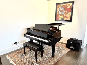 A piano in a house